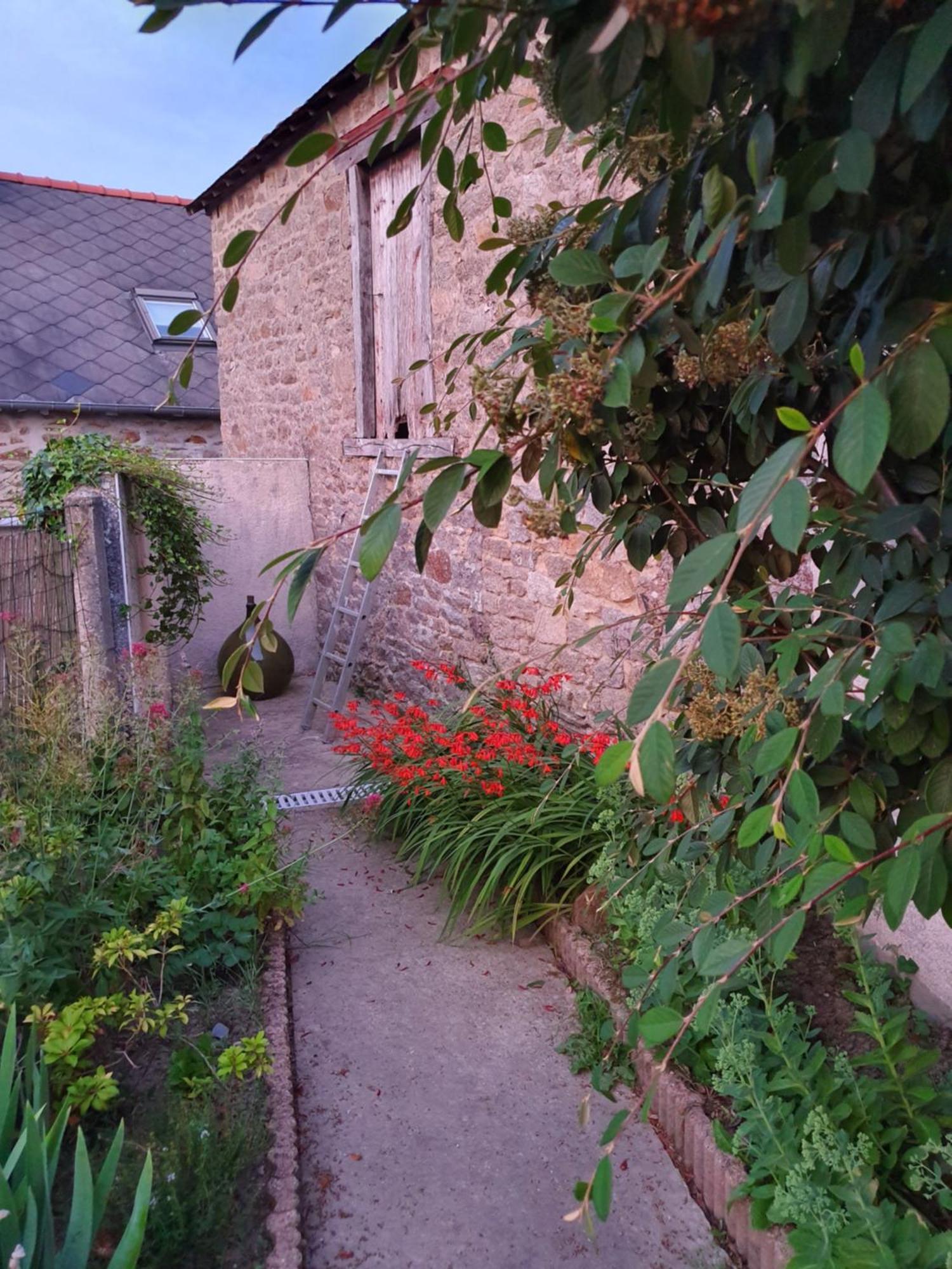 Les Forges Du Lou Apartment Jugon-les-Lacs Luaran gambar