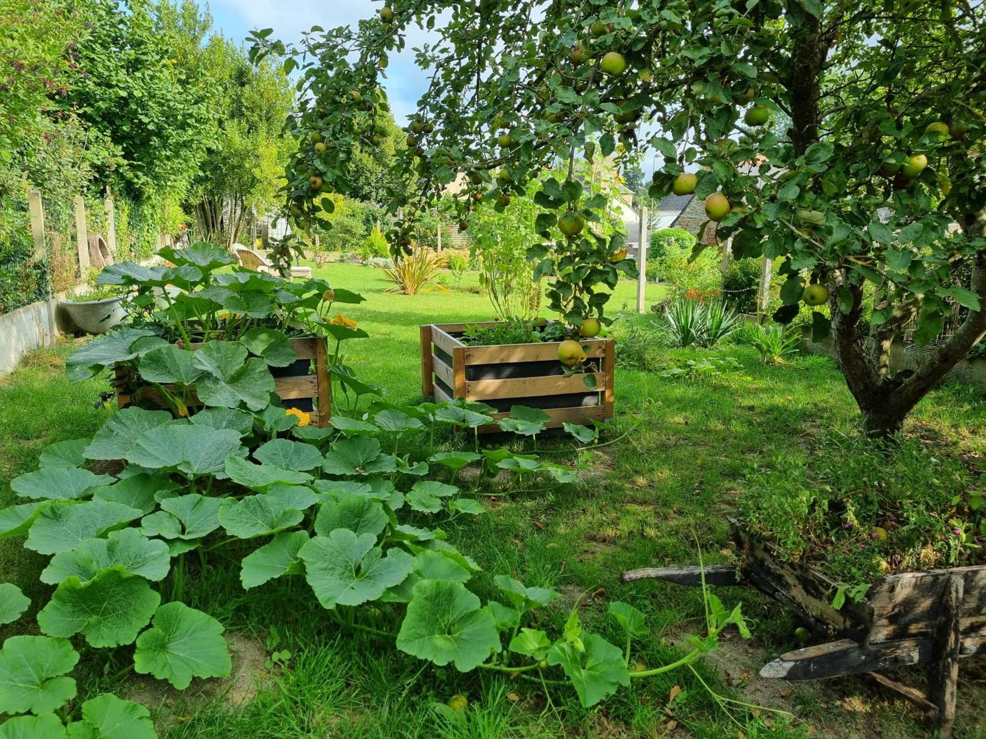 Les Forges Du Lou Apartment Jugon-les-Lacs Luaran gambar